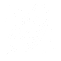 Icon-Feder-white